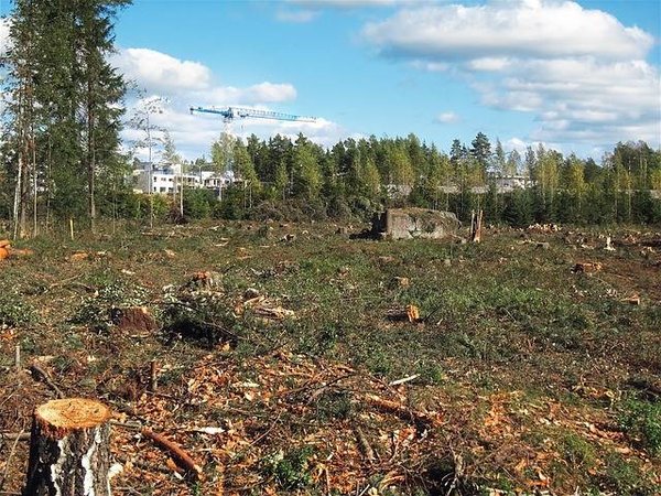 Comprendre la réglementation environnementale en France