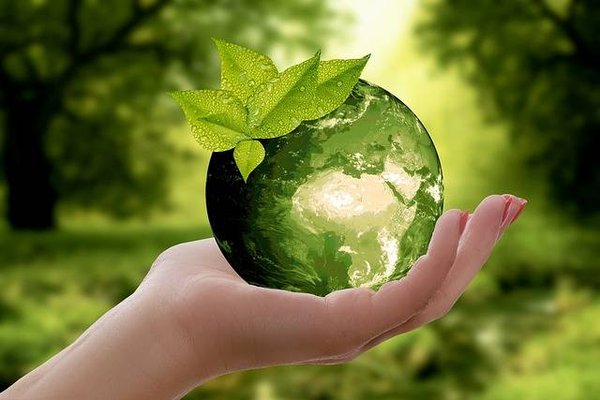 Importance du développement durable dans la protection environnementale mondiale