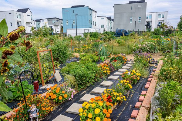 Comment créer une initiative locale pour l'environnement ?