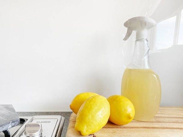 Comment fabriquer ses propres produits écologiques à la maison ?