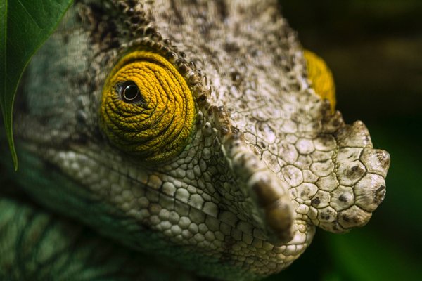 Quels sont les exemples d'actions menées par les associations caritatives pour l'environnement ?