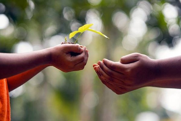 Programmes d'éducation à l'environnement pour sensibiliser à l'environnement